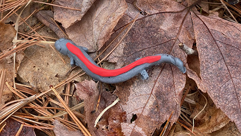 A salamander made of clay with a red stripe sits on a leaf.