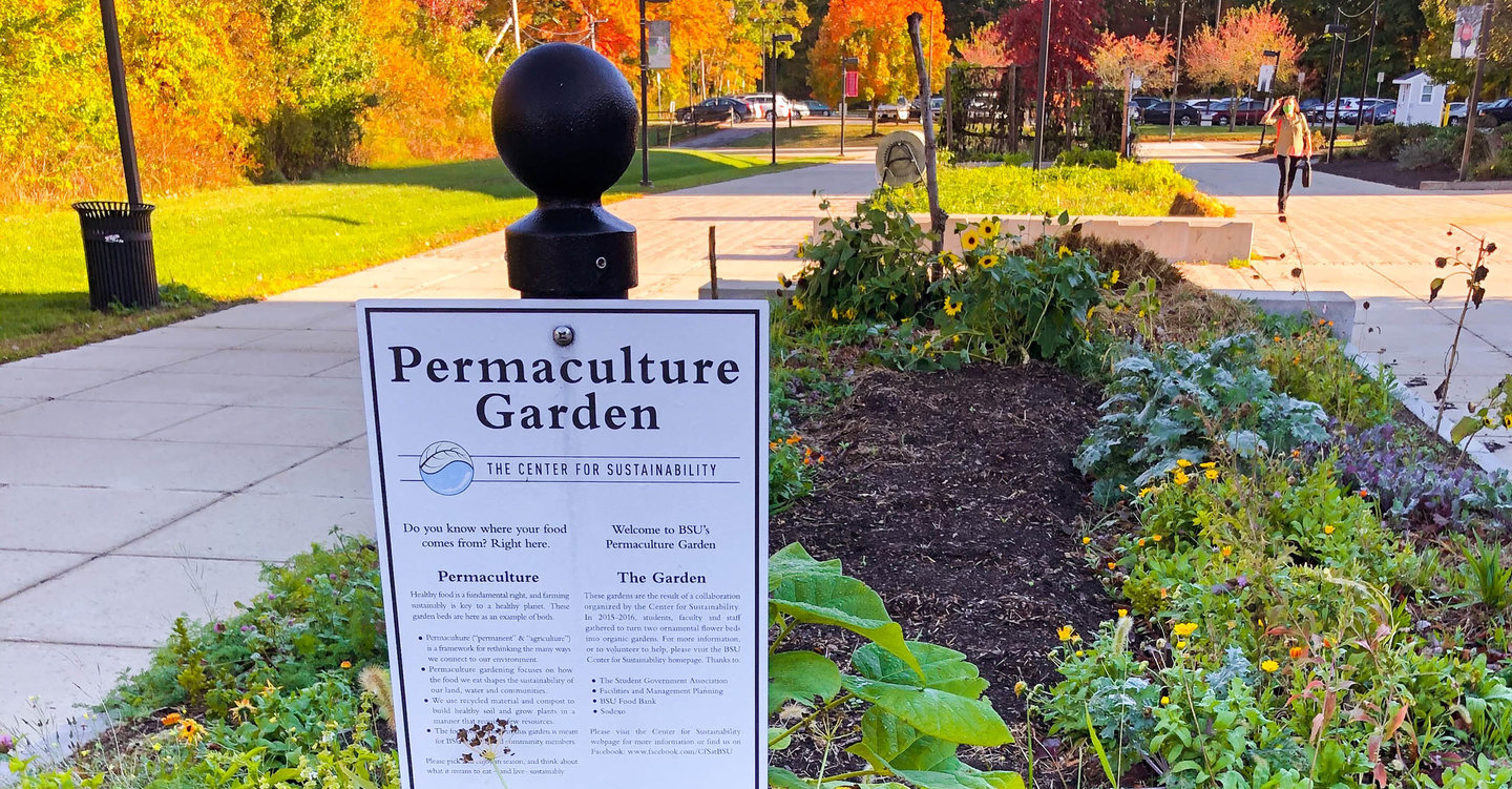 Permaculture garden at BSU