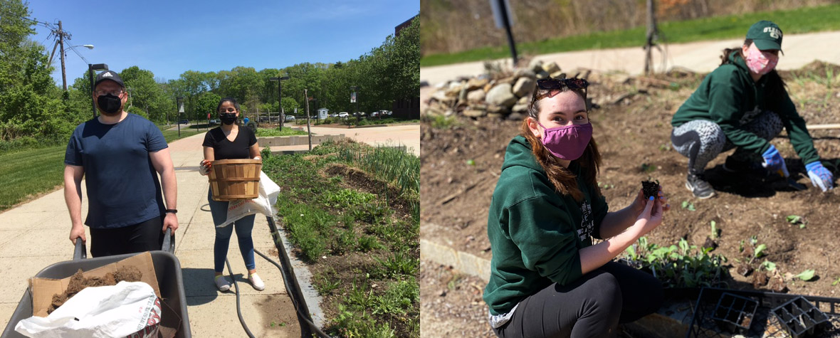Summer and spring sustainability interns working in the permaculture garden