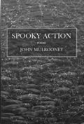Cover of Spooky Action