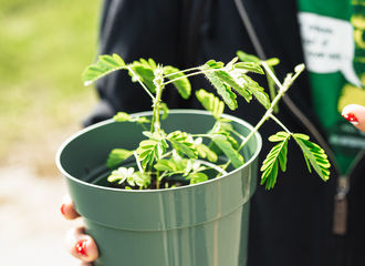 A student holds a potted plan in their hands