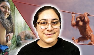 Mia Sarkisian, '19 smiles at camera with orangutan behind her and an image of her working with orangutan on other side