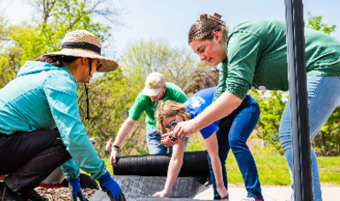 Students and faculty put plants in the garden to be used to make dye producing plants