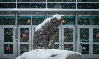 A bear statue is covered with snow