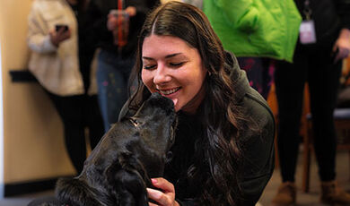 A comfort dog licks a student's face.