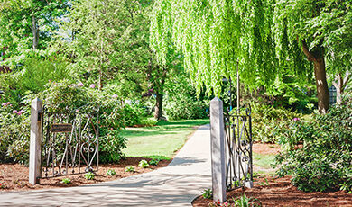 A sidewalk and gate surrounded by trees and plants.