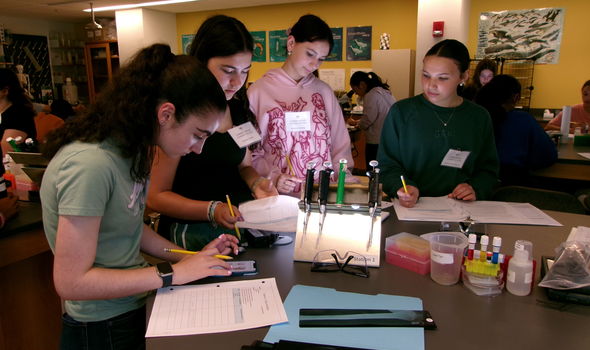 Four students in a lab setting looking over a lightbox