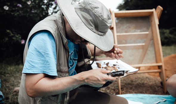 a person examining artifacts