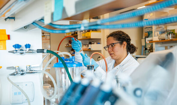 BSU Biology graduate student conducting research in the lab