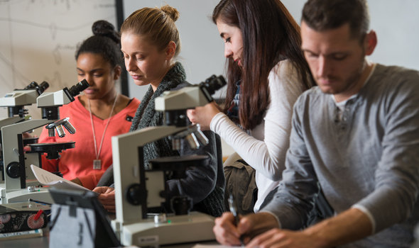 Four students in a lab using microscopes and taking notes
