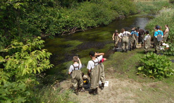 Students wearing waders gather at the edge of a river to collect water samples