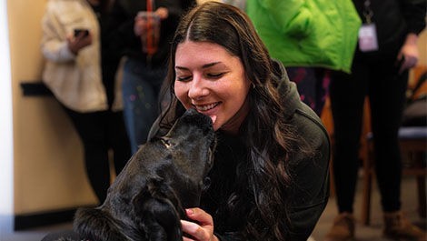 A comfort dog licks a student's face.
