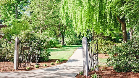 A sidewalk and gate surrounded by trees and plants.